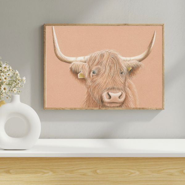 Scottish Highland Cow Drawing  Giclee Fine Art Print A4