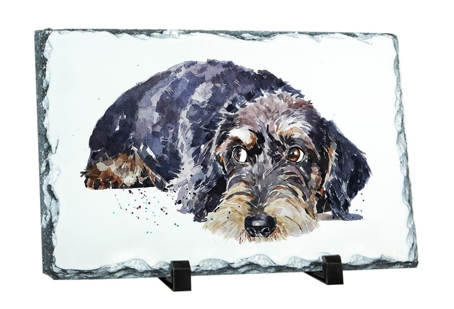 Wirehaired Dachshund Reclined Natural rock slate - Wirehaired Dachshund Rock pho