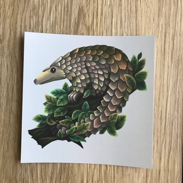 Pangolin Square Post Card Print