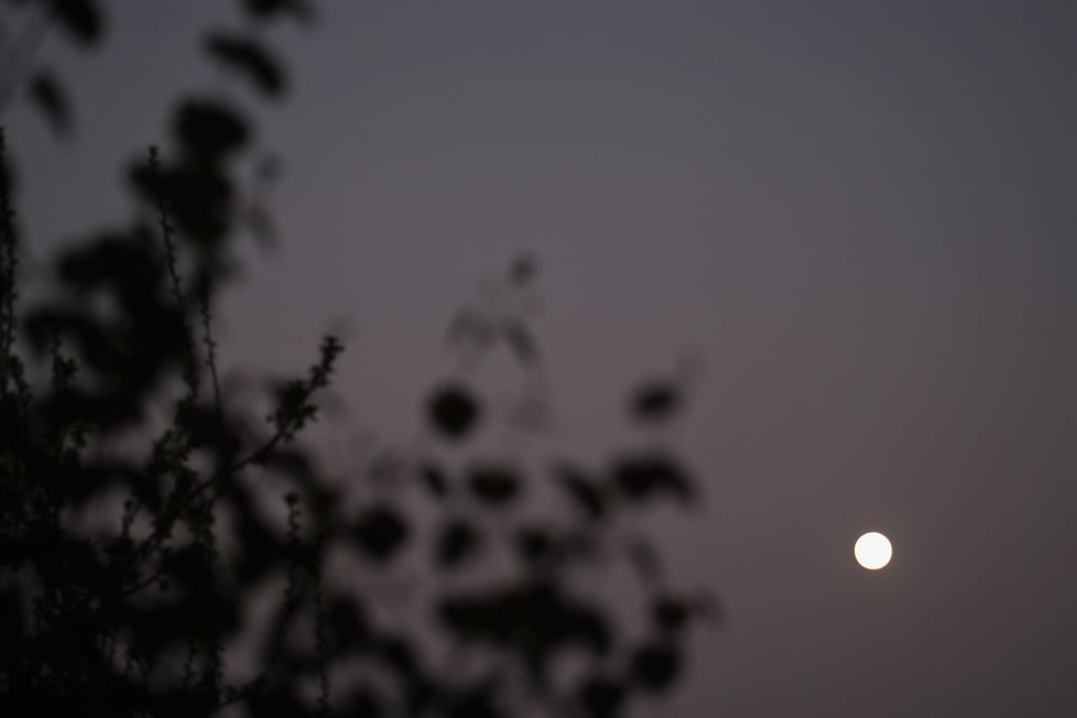 Laura Blaikie Illustration