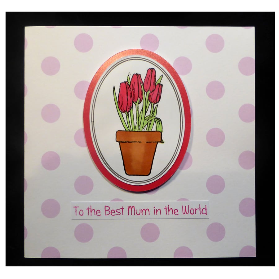 Pot of Tulips for Mum (MD452)