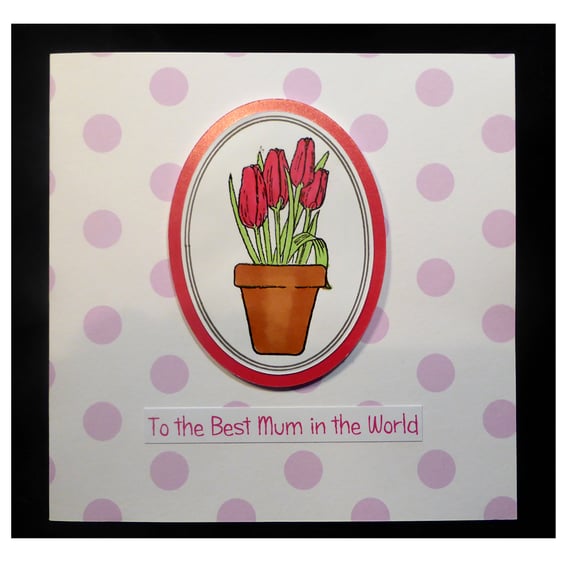 Pot of Tulips for Mum (MD452)