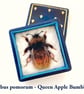 Postcard collection from the Fifty Bees exhibition - Image 8