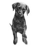 Custom A6 Pet Portrait DRAWING - Image 1