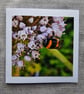 Bee on Leek Flower in the Garden Square Photographic Card Size 6" x 6"  - Image 2