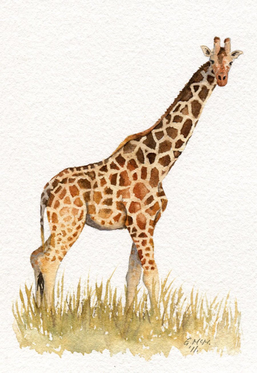 Watercolor sketch - Giraffe