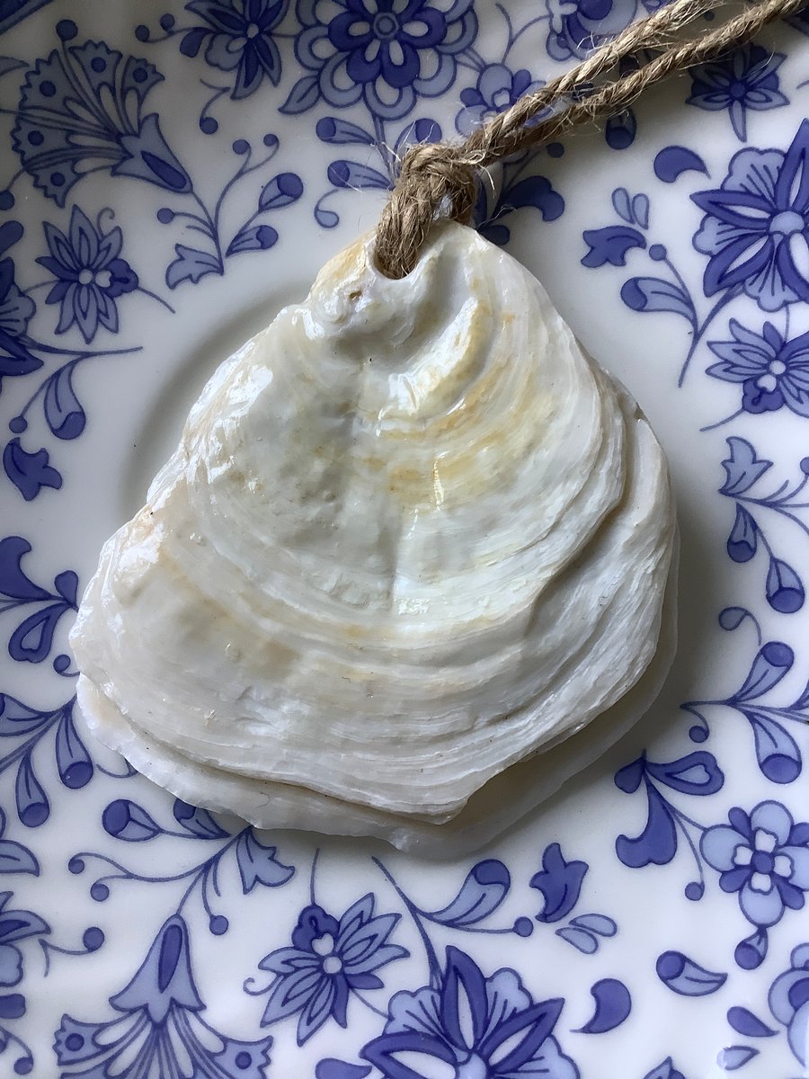 Hanging Decoration, Unique, Eco Friendly Gifts. Shell.