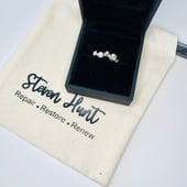 Repair Renew Restore