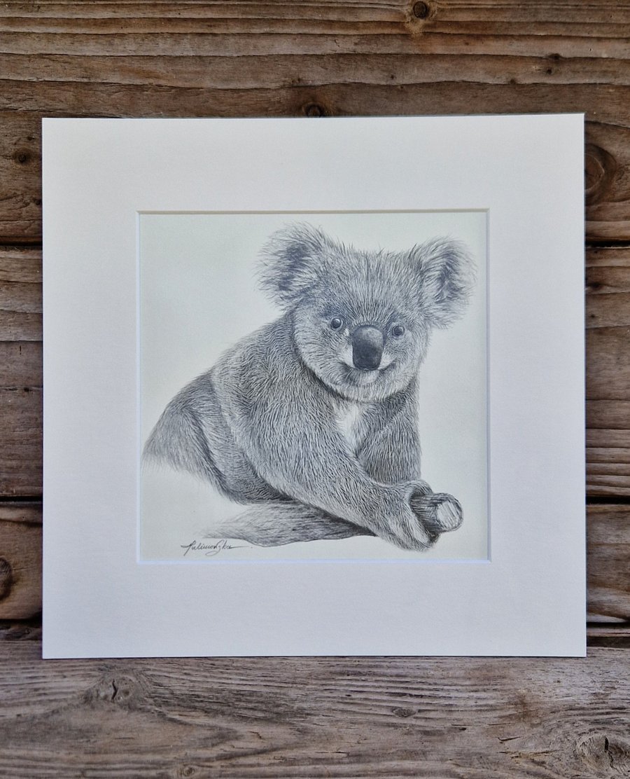 Koala (2021)