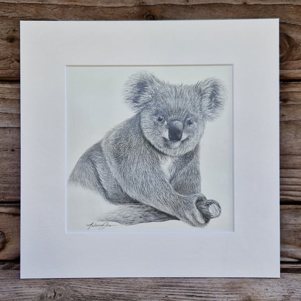 Koala (2021)