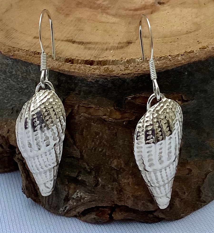 Shell earrings