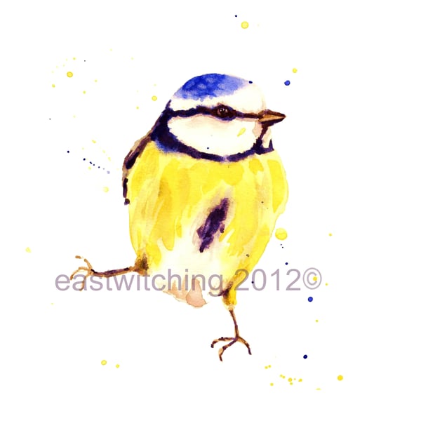 BLUE TIT Painting