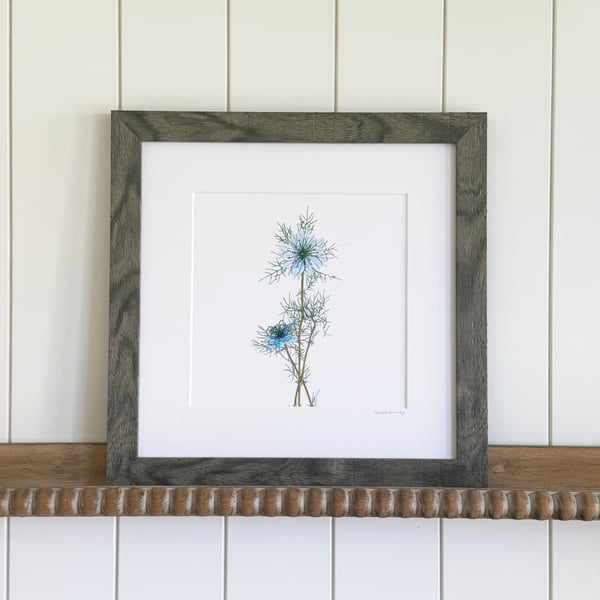 'Love in the mist' Framed print 12" x 12"