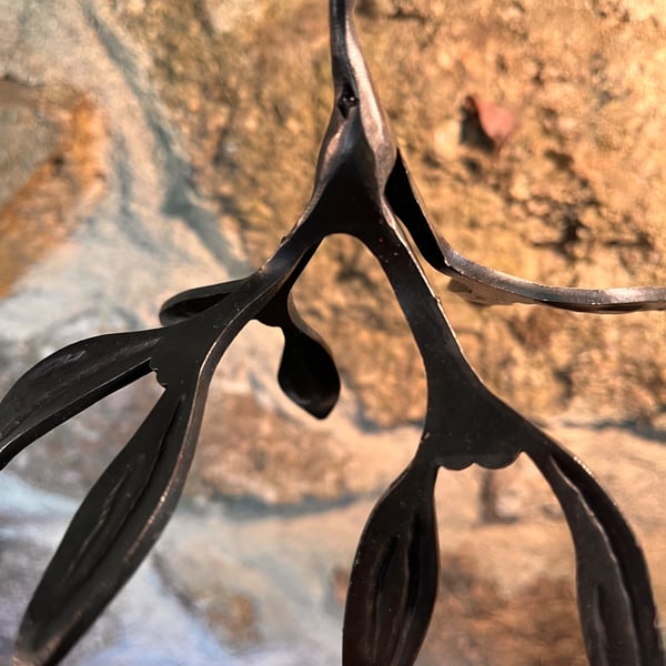 Hand Forged Iron Mistletoe