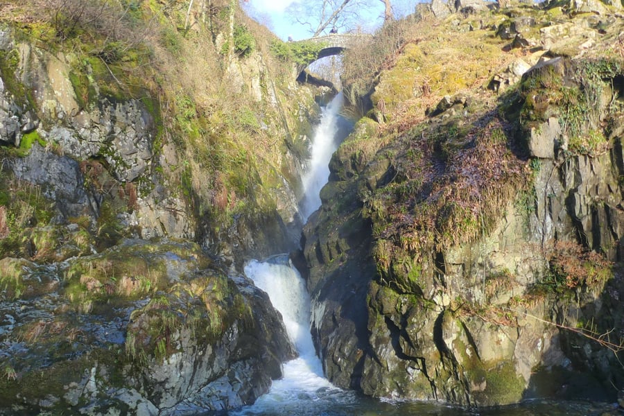 Aira Force
