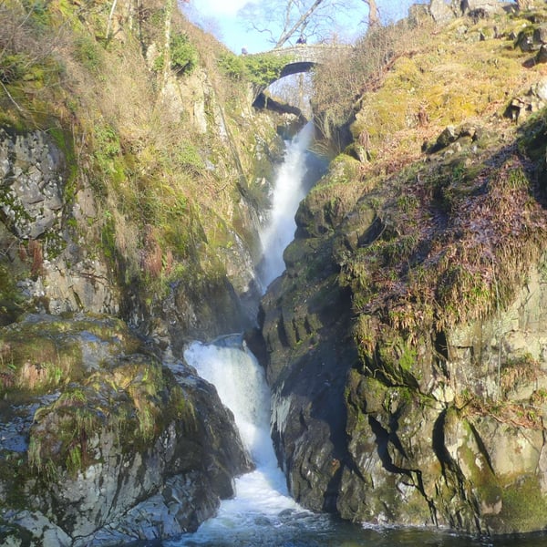 Aira Force