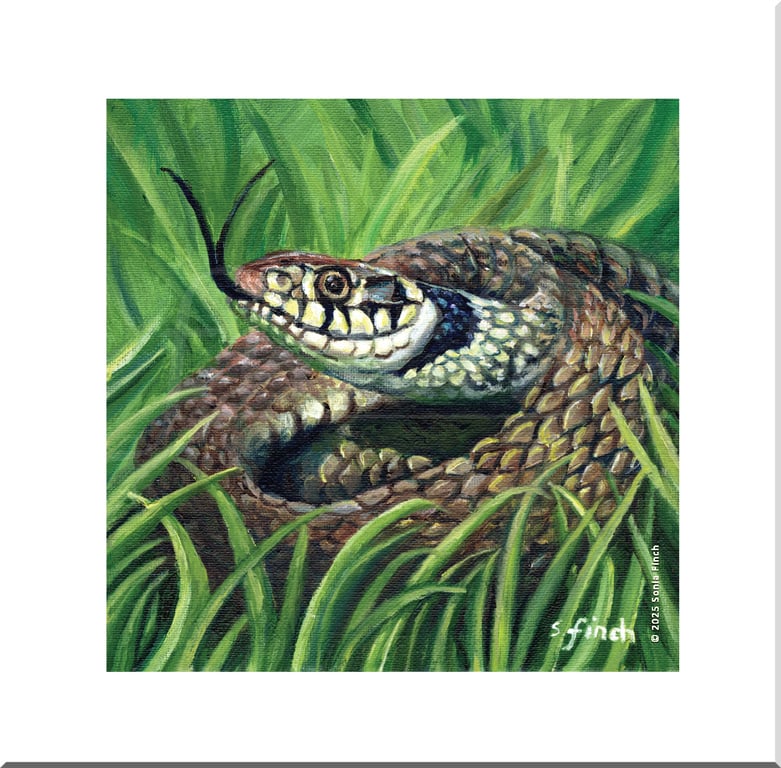 Spirit of Snake - Greeting Card with Nature Spirit Totem Message