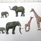 Air dry paper foam African animals