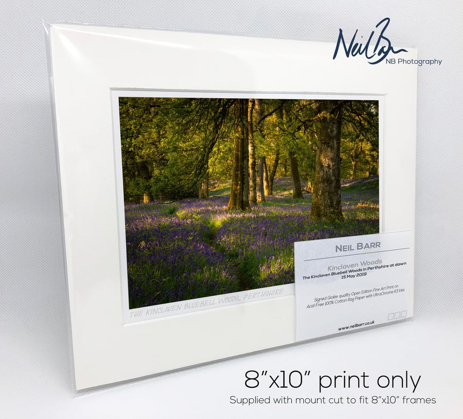 Kinclaven Bluebell Woodlands Perthshire Scotland - A5 (10" x 8") Unframed Print