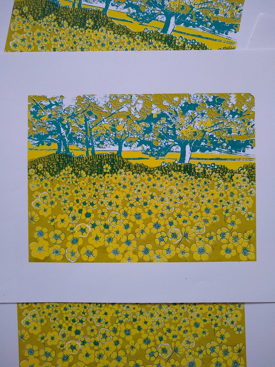 Buttercup Fields original screen print MISPRINT