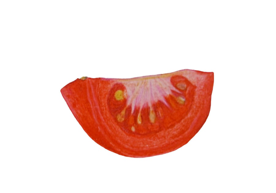 Tomato art, vegetable handmade drawing, prints and cards