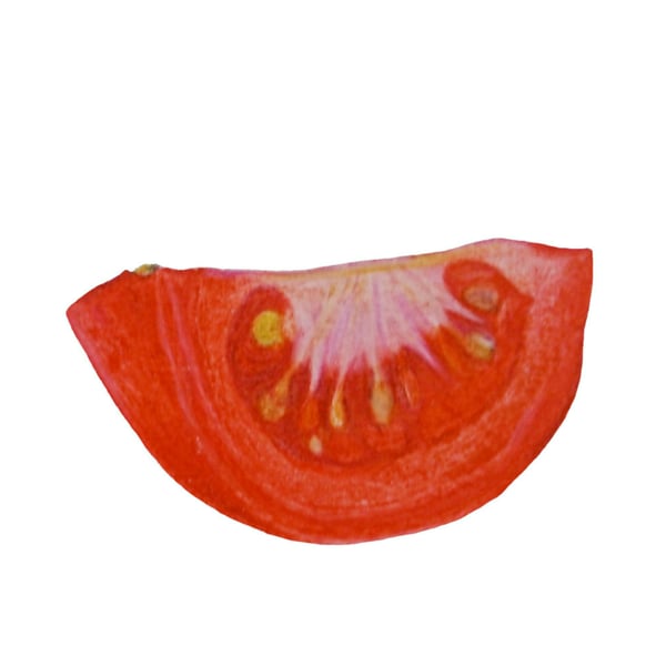 Tomato art, vegetable handmade drawing, prints and cards