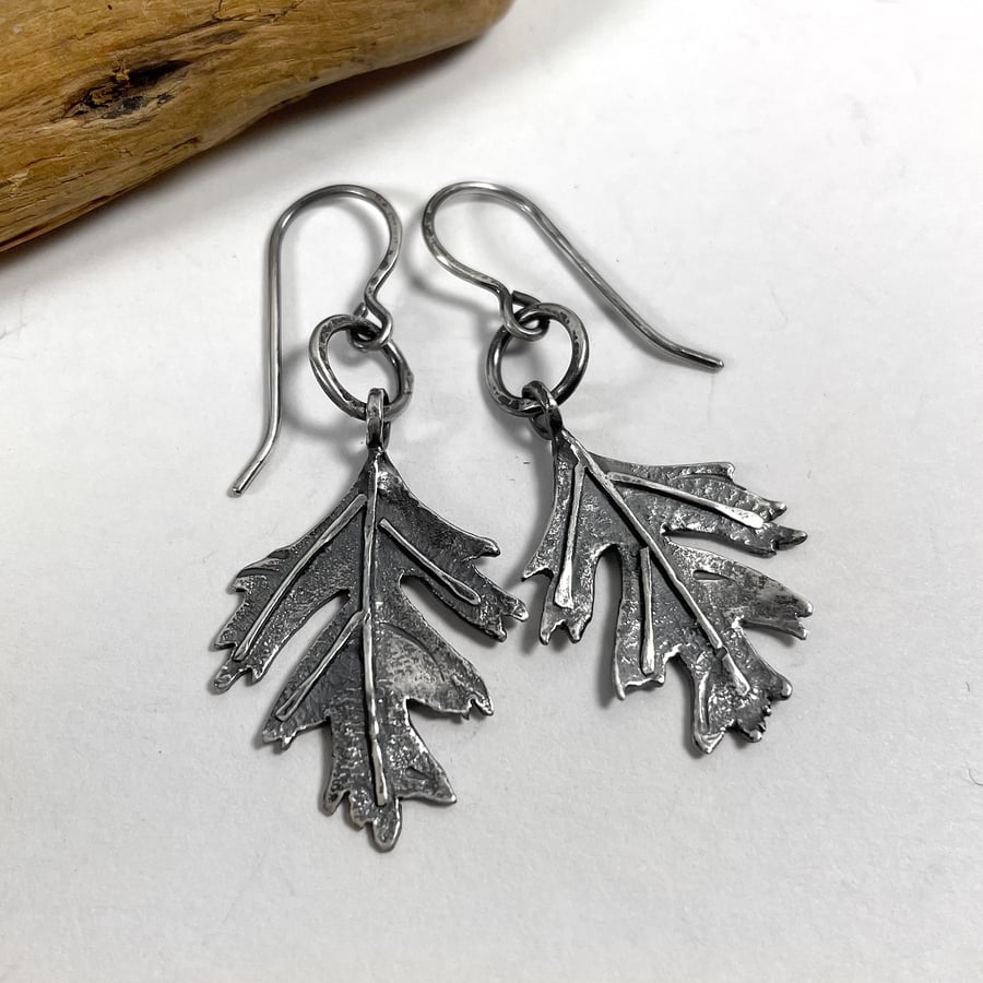 Sterling silver hawthorn leaf earrings