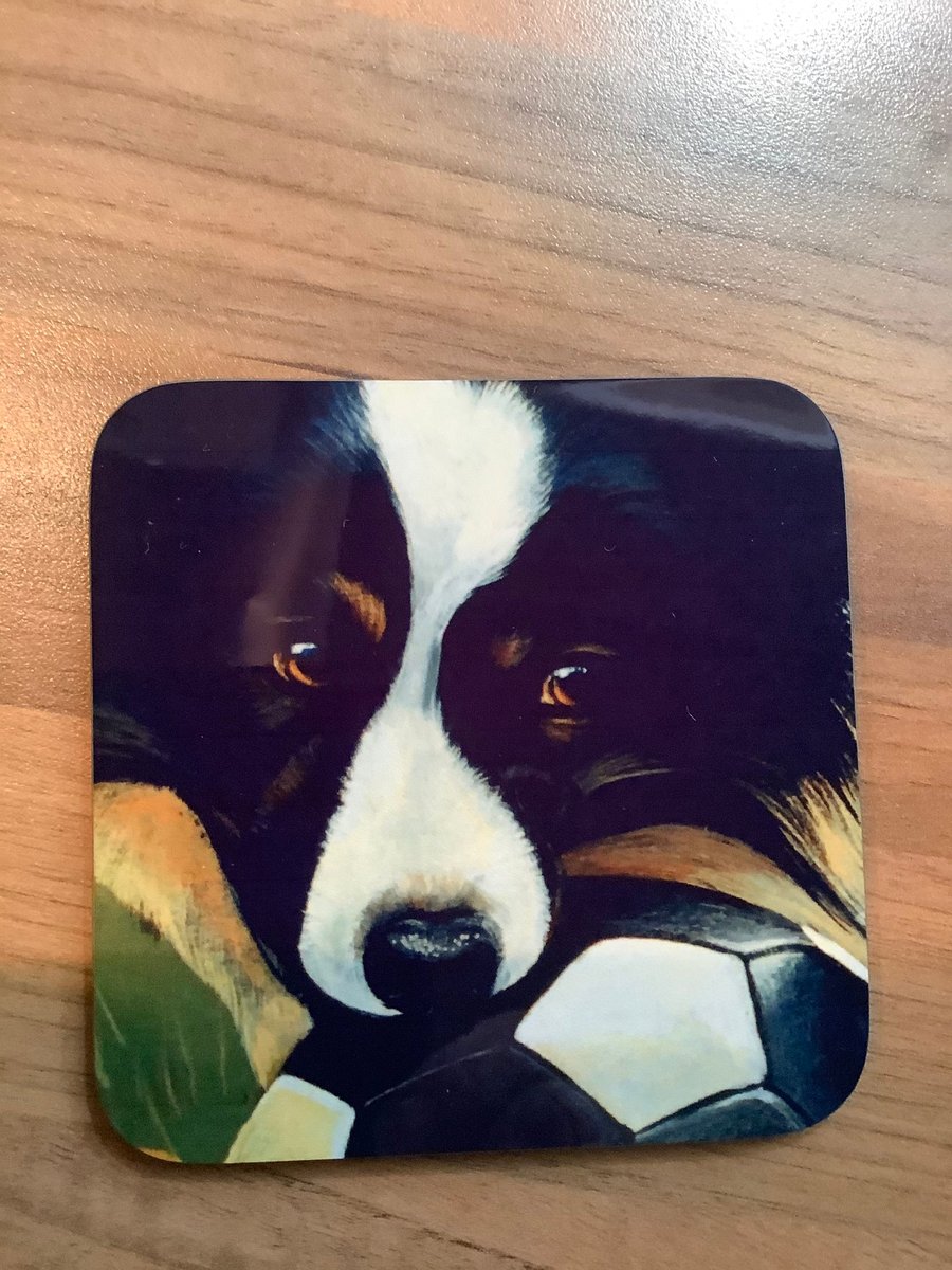Attractive washable Border Collie Coaster, Drinks mat