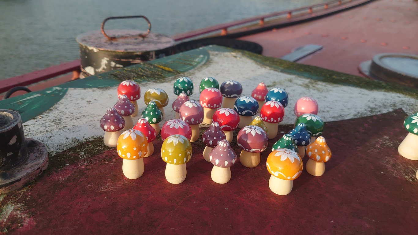 Daisy toadstool, small