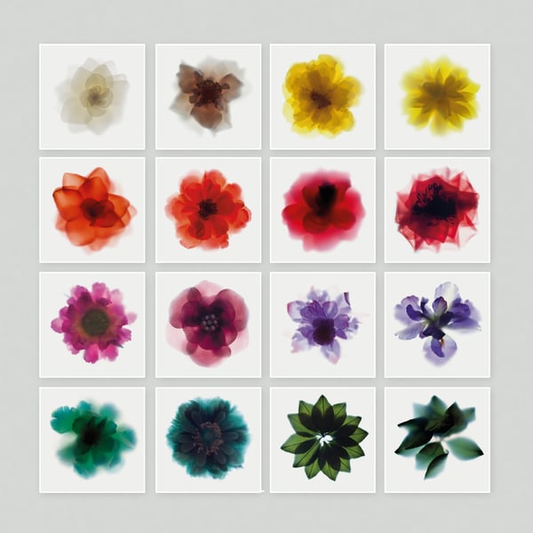 Set of 16 mini floral square postcards prints, with elegant flower photography