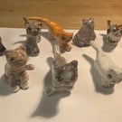 'Special' Cats & Dogs Hanging Ornament