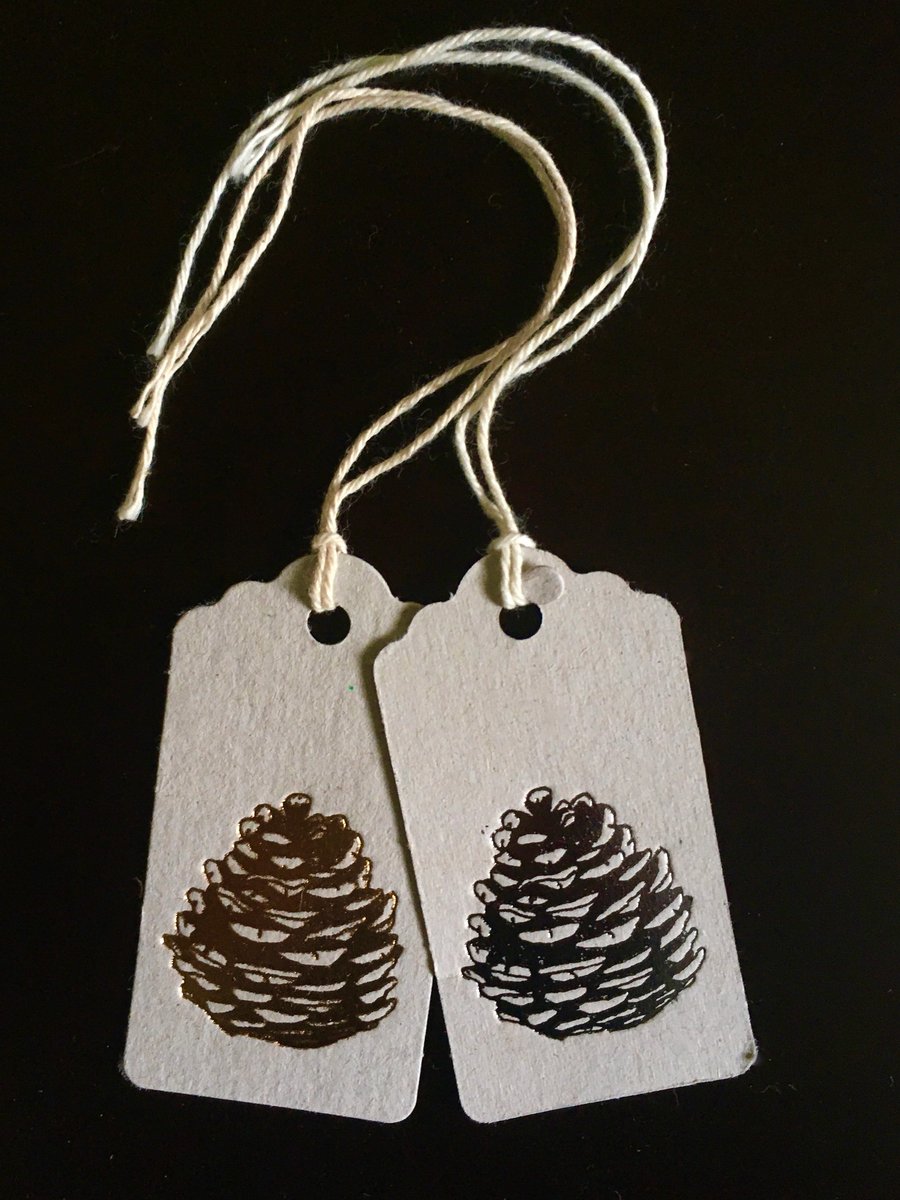 Fir Cone Gift Tags x 10