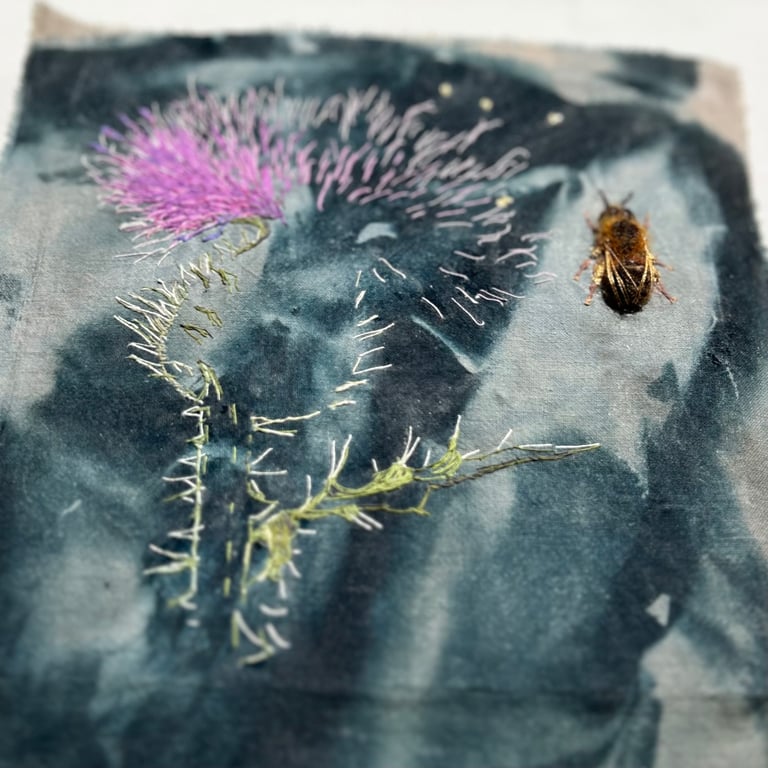 Plants for pollinators 4 - Thistle - Cyanotype & stitch - Eco Textile Art