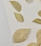 Metallic Gold Silk Organza leaves - Image 2