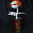 Pennywise Plant