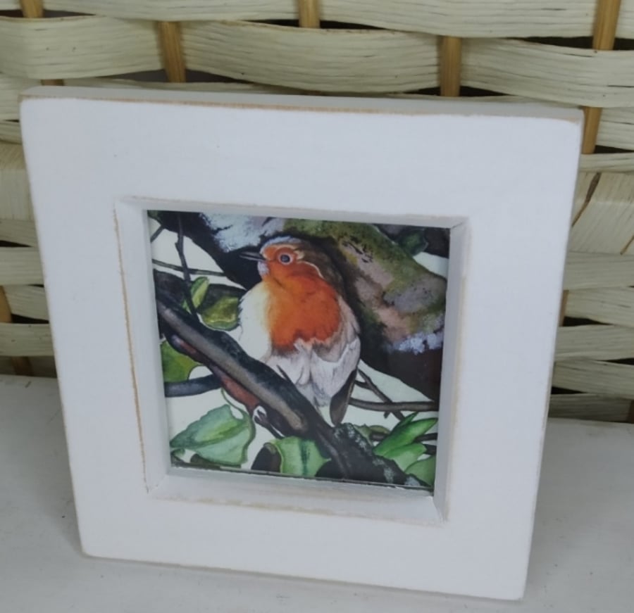 Minature robin watercolour print in a rustic white frame, bird lovers gifts