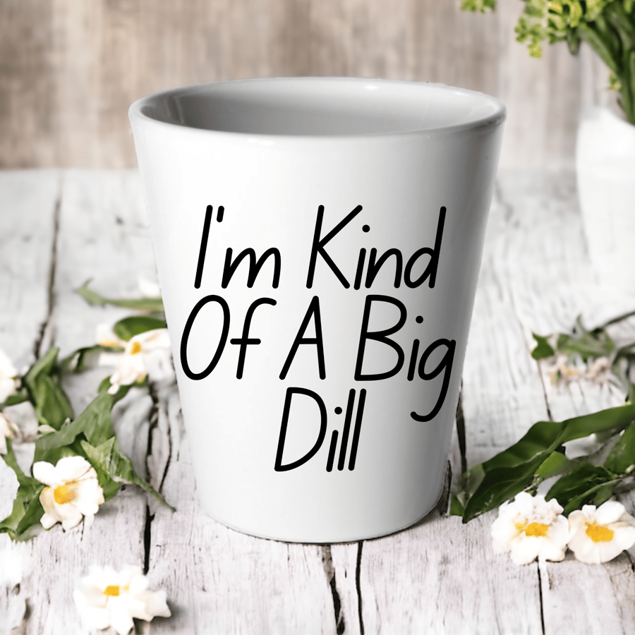 Im Kind Of A Big DIL  -Succulent Cactus Flower Pot 