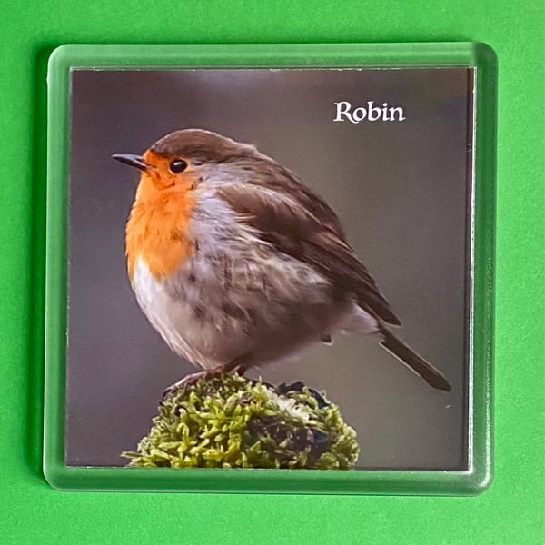 Robin on Watch - Coaster - Drinks Mat