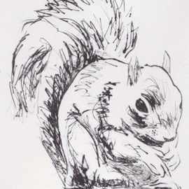 Squirrel Limited Edition Original Hand-Pulled Drypoint Print Animal Art