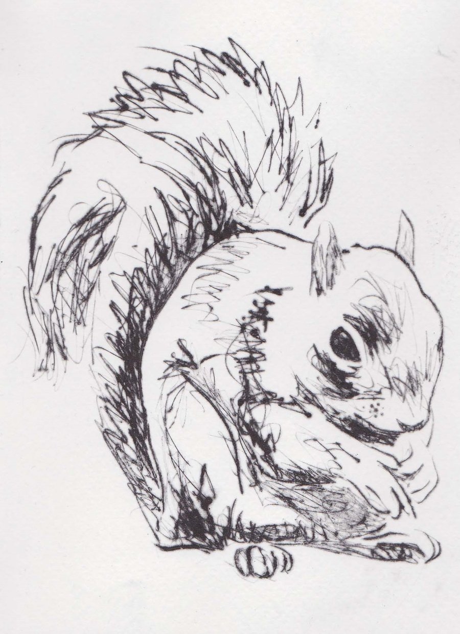 Squirrel Limited Edition Original Hand-Pulled Drypoint Print Animal Art