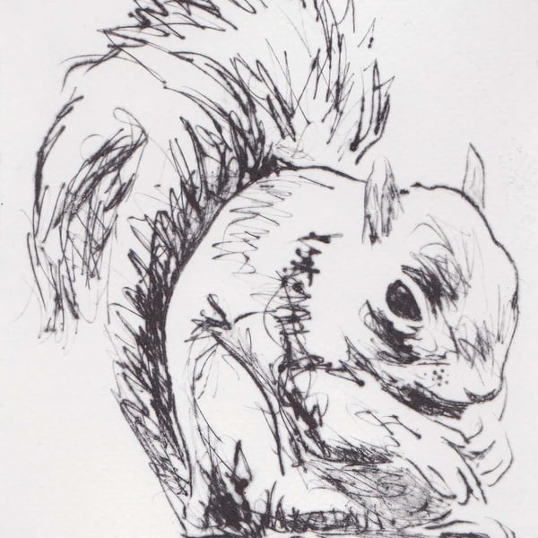 Squirrel Limited Edition Original Hand-Pulled Drypoint Print Animal Art