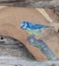 Original Blue Tit painting on reclaimed and repurposed wood - Image 2
