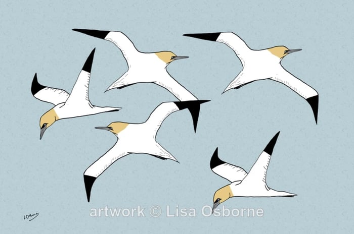 Lisa Osborne Art