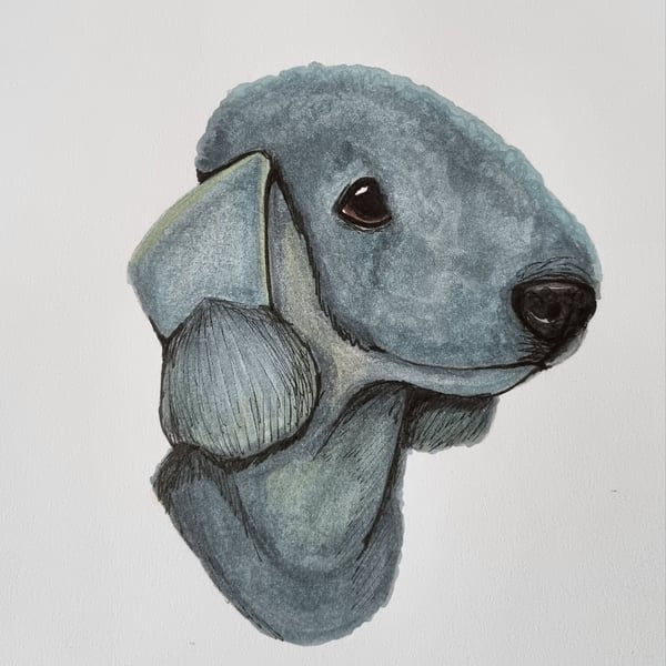 Made to Order Dog Portrait Drawings