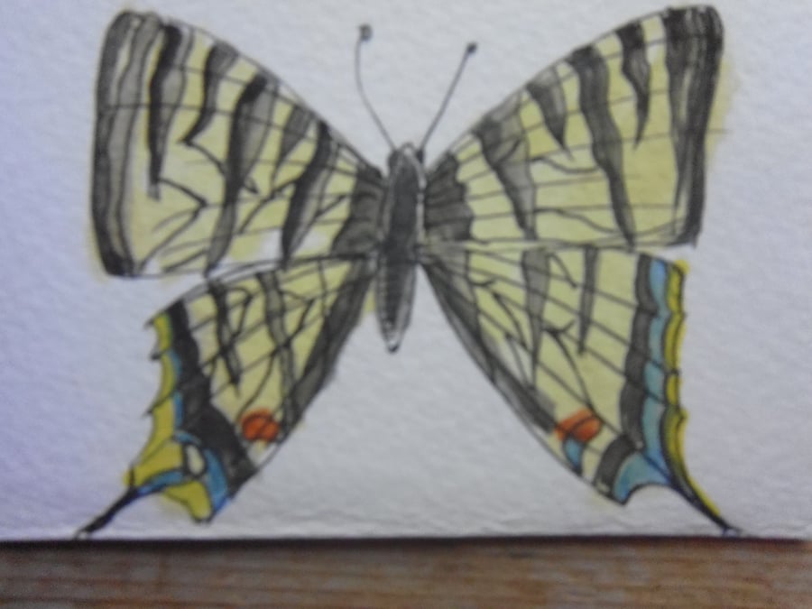 ACEO BUTTERFLY 