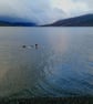 Shimmering Sea, bright and colourful early morning seascape - Image 8