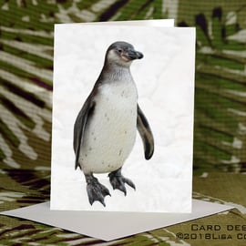 Exclusive Handmade Penguin In The Snow Christmas Cards 