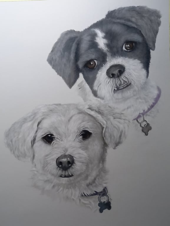 Custom Commissioned Pet Portraits
