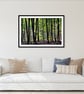 Blackwood Forest Winchester Hampshire Photograph Print - Image 3