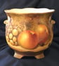 Worcester Fruit .Handpainted bone china planter by Christopher Hughes  - Image 6